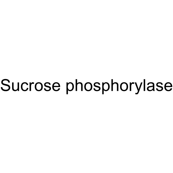 Sucrose phosphorylase (SP) 9074-06-0